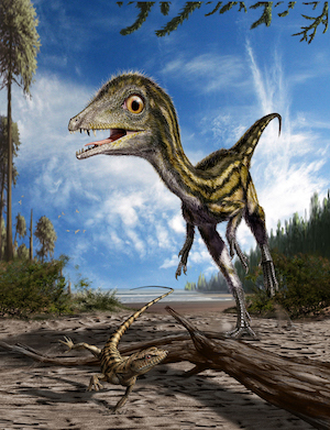 Un dinosauro unico al mondo em Scipionyx samniticus em detto